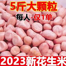 2023年新货花生米生新鲜花生榨油大颗粒粉红皮大粒花生仁种子农家