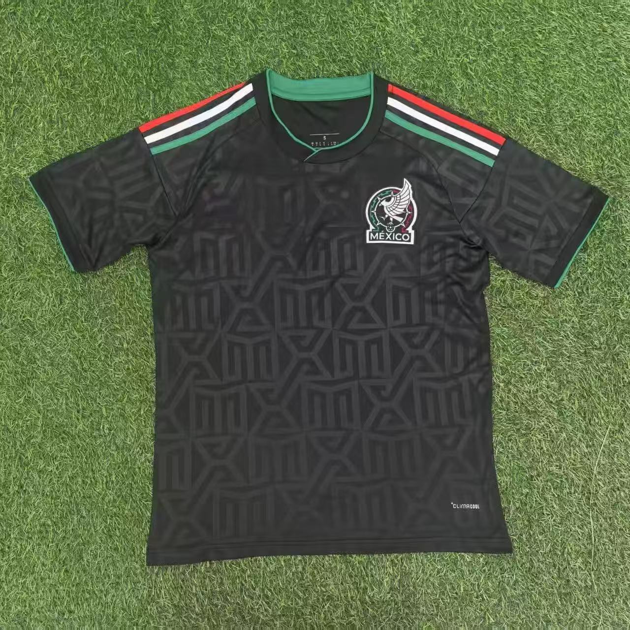 2026年メキシコ訪問者2名 / S