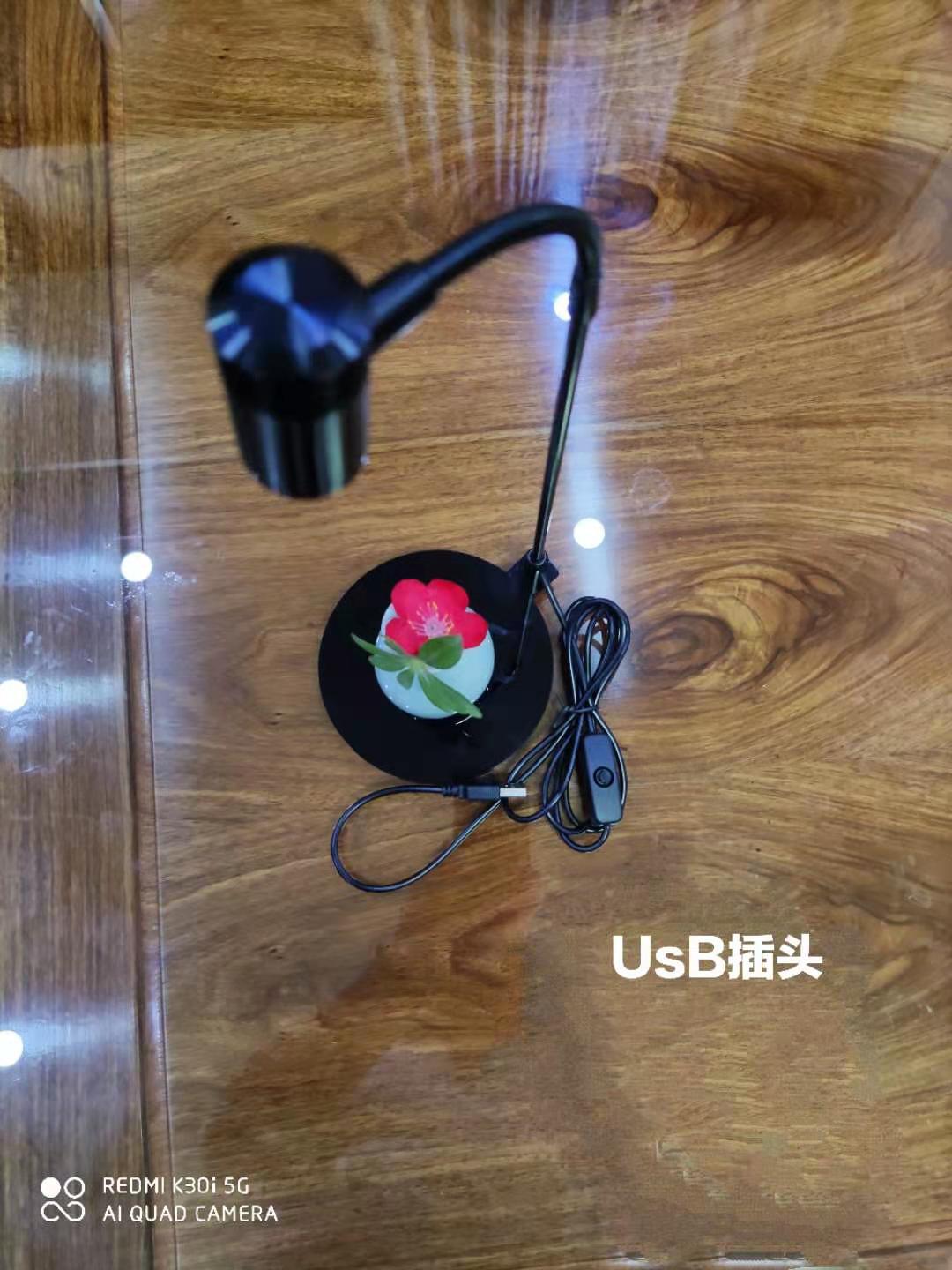 鱼缸亚克力USB定时调光迷你小鱼缸景观灯 水草照明  植物生长灯