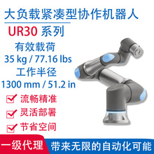 ������ؓ�d�o���ͅf���C����UR30 �Cе�� UR�C��������ؓ�d35 kg