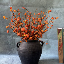 仿真品质红酱果发财果红果子客厅装饰花冬青相思豆仿真花假花现货