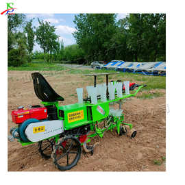 两行蔬菜移栽机 座驾式农用蔬菜面栽种机 7.5马力汽油育苗种植机