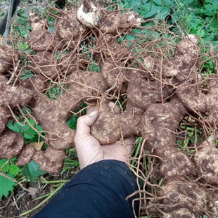 ���Ķ໨���Ĵ����ϻ��S�����r����ɽ�^���r����ȥ�S����ｪ��