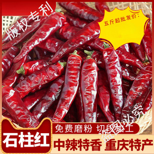 5̖ʯ���t������500g΢�����������ؑc����خa3̖�������㺣��
