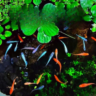 �^�����F�~�͵͜��^�p�~��ȸ���R�~�ײ�