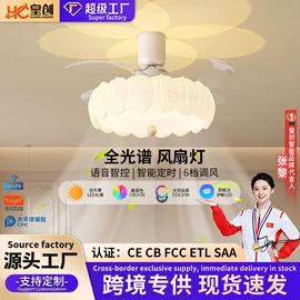 风扇灯;吸顶灯;智能家居