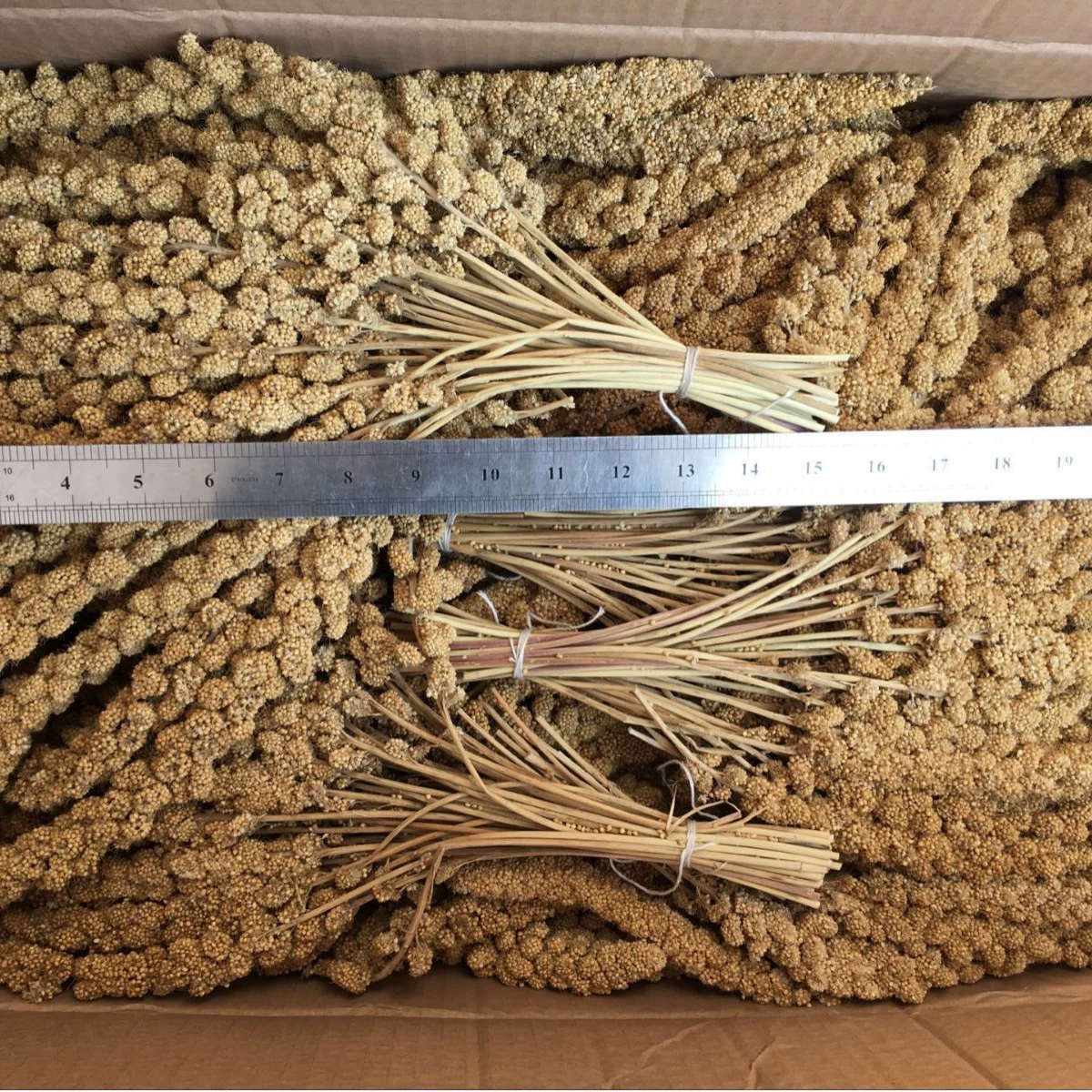 12inch Шип желтого зерна