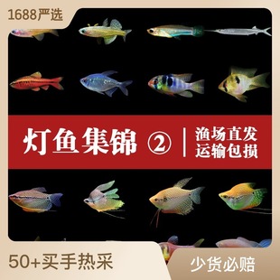 �~�����~�ݸ��~��ʹ�~�t�G���~�Ꭷ�~�O�������~��ȸ�~�O��ֱ��