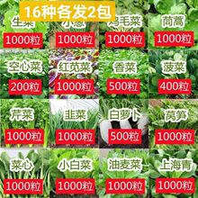 16�N�߲˷N���ײ;G�~�˷N��һ���ļ��׷N�ЙC�������ﶬ�̨ͥԺ