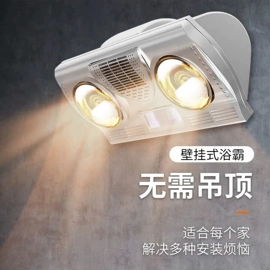 其他LED光源;LED球泡灯;排气、换气扇