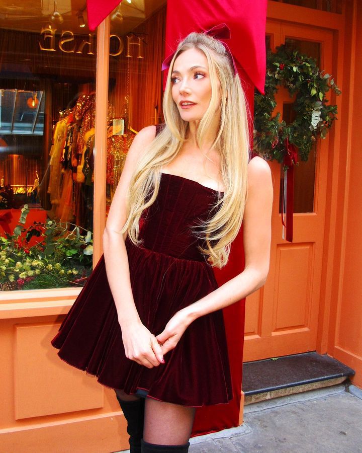 Velvet Dress Image 2