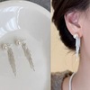 Silver needle, fashionable earrings, silver 925 sample, Korean style, city style, European style, simple and elegant design