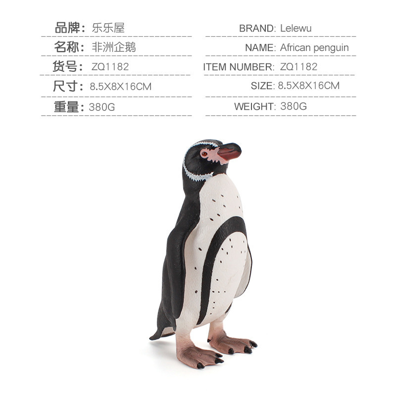 Zq1182 african penguin 380g