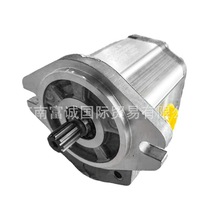 ĵ˹sauer danfoss TurollaֱúSNP1/2/3/4ϵ