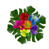 Kaifeng faction Hawaii Flus Su Table skirt paper straw back leaf leaf gugs hibiscus 10pcs flower ring combination set
