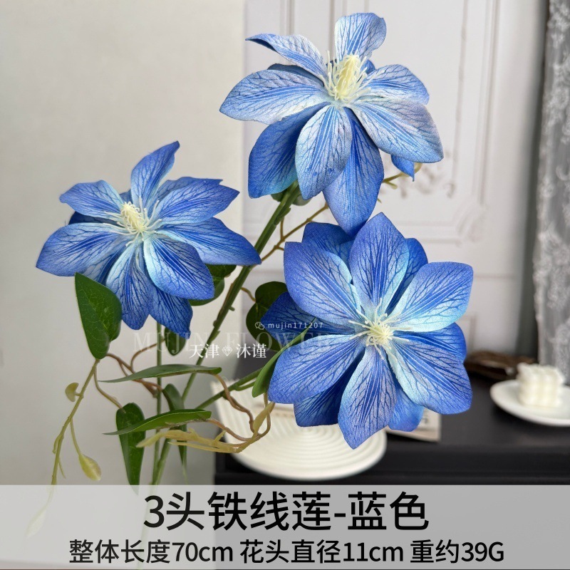 클레마티스