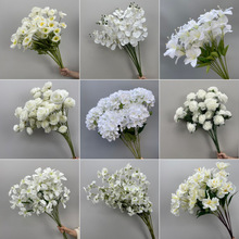 aȻɫϵcbٻ[ˇ·廨T