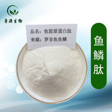 �~�[���׷� �~�[�zԭ���� ��������500 �~�[�zԭ������  �~�[��