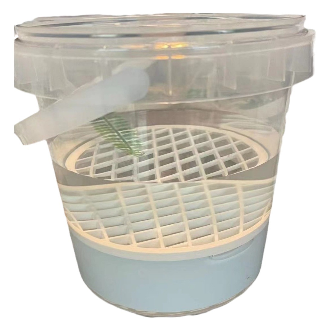 Caja de aislamiento de tortuga caja de alimentación huevo tortuga plántula Caja de aislamiento de plántulas tortuga solo cuidado del cabello caja de color anti-Bite Fight blanco caja transparente