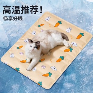 猫空调房