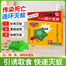 日本驱杀除灭蚂蚁药杀蚁饵剂净家用室内室外厨房非无毒白蚁红蚂蚁