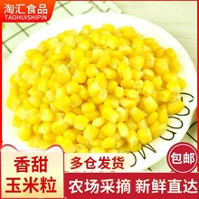 速冻甜玉米粒水果烘焙披萨沙拉粗粮代餐生鲜商用炒饭榨汁批发2斤