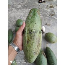 ľ޷N ľ޻ tľ޷N ˘N Ƥľ