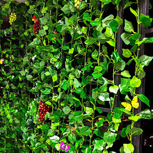 �����ٗl�G�~�b����ϻ��٠�ţ���٘��~�G��ˮ�ܵ��ړ����{�G�}�~