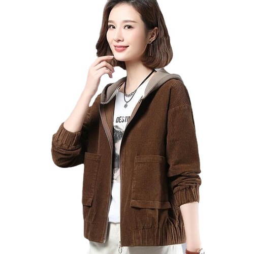 Women's Loose Hooded Sweatshirt, Short-Sleeve, Versatile, Fall/Winter, Korean Style, Plus Size Jacket Top