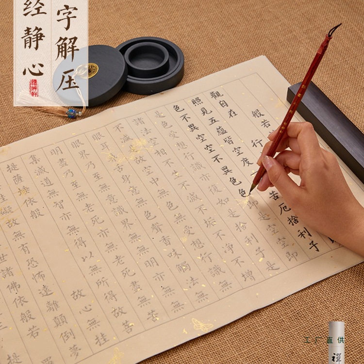 静心手抄经临摹抄经本行书经文抄写本般若菠萝蜜多作品纸毛笔书法
