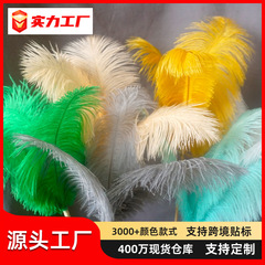 現物卸売りカラー25-30cmダチョウ毛ネット赤背景壁羽毛飾り花瓶飾りdiy花束