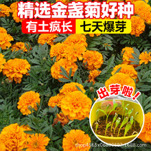 ��K�ջ��N�Ӱ����L���շN���҃����Զ���������ͥԺ�����ļ��ͺ�