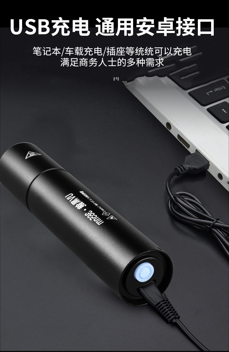 Uv Antique Banknote Detector Lamp Handheld Mini Purple Light Cat Moss Fluorescent Agent Bordeaux Solution Detection Rechargeable Flashlight