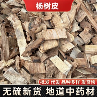 �ח�Ƥ ���Ƥ��ș�� �ח��Ƥ ���Ƥ�䱳��Ƥ����l���l