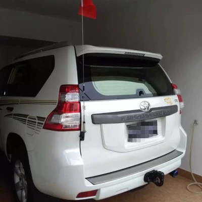 vehicle antenna: decorative antenna car front