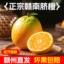 十月红早红脐橙应季新鲜橙子整箱多汁香甜鲜果水果批发果冻橙