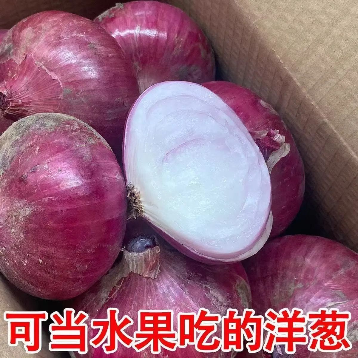 紫红皮洋葱水果圆葱紫皮5斤新鲜现挖现发洋葱头批发农家自种蔬菜