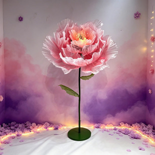 �Cе���滨늄��_�ϻ���c�F������·�����̈���������bٻ�
