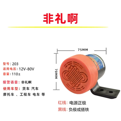 Car horn/tweeter, Has Arrived at My Place. the - its-rude-12v-80v