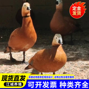 �@�־��^�^�pˮ���������� ��������������X ���ە��µ��ĳ�����