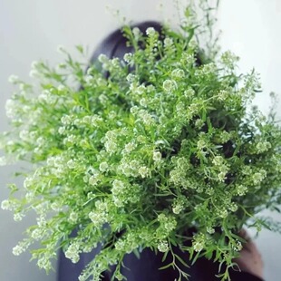 �G�`���r������������ֱ�lؐؐ��