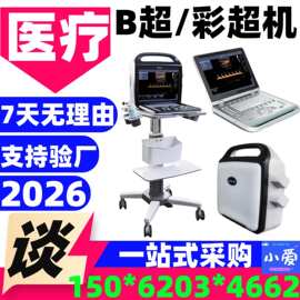 便携款式国产彩超 推车式/便携式国产彩超 彩超B超机图片 新玛 02
