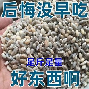 ���ޕr���p�������ຣ�����׃��x�����ǴּZ�ЋD���������s�Z���l