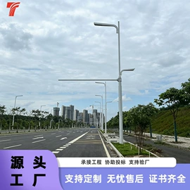 道路照明灯;太阳能灯;路灯