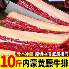黄膘牛排内蒙古原切扇子骨牛排骨新鲜带肉牛肋排条生鲜牛仔骨牛肉