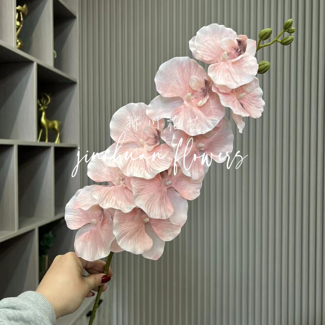 핑크