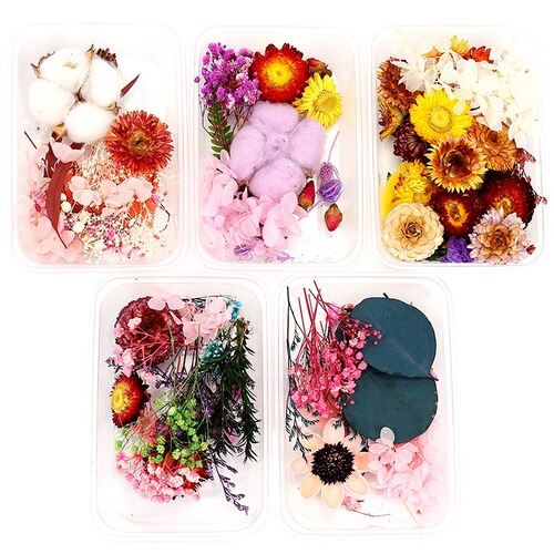 Floating flowers, dried flowers, immortal flowers, DIY glue filled flowers, mini embossed materials, plant specimens, dried flowers wholesale