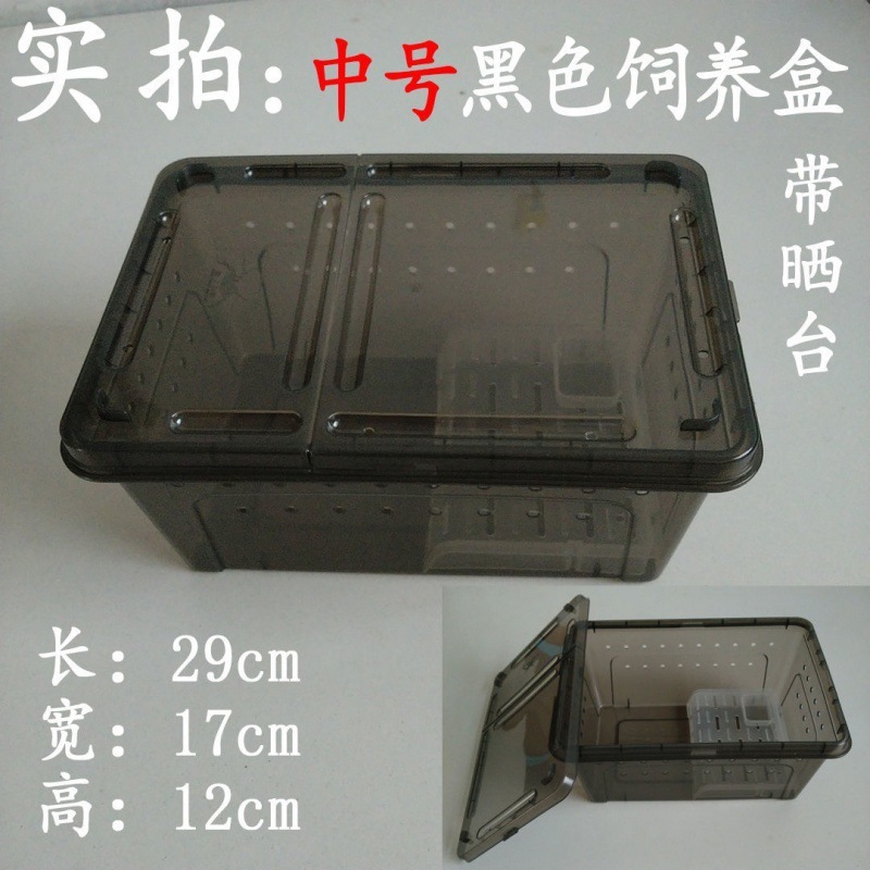 爬虫類、白翡翠カタツムリ、ホーンカエル、クモ、カマキリ、ヤドカリ、昆虫、特大、中型、小型、ミニ高透明飼育箱|undefined