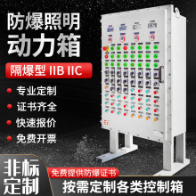 BPG防爆配電櫃配電箱防爆照明動力櫃廠家價格EXde IIBIIC T6 IP66