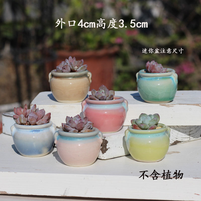 Succulent Flower Pot Ceramic Stoneware Double-Eared Breathable Mini Rainbow Control Type Personalized Creative Desktop Thumb Potted Plant Special Price